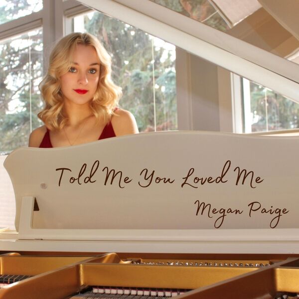 Cover art for Told Me You Loved Me